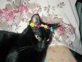 Boy with a Clickit Crown